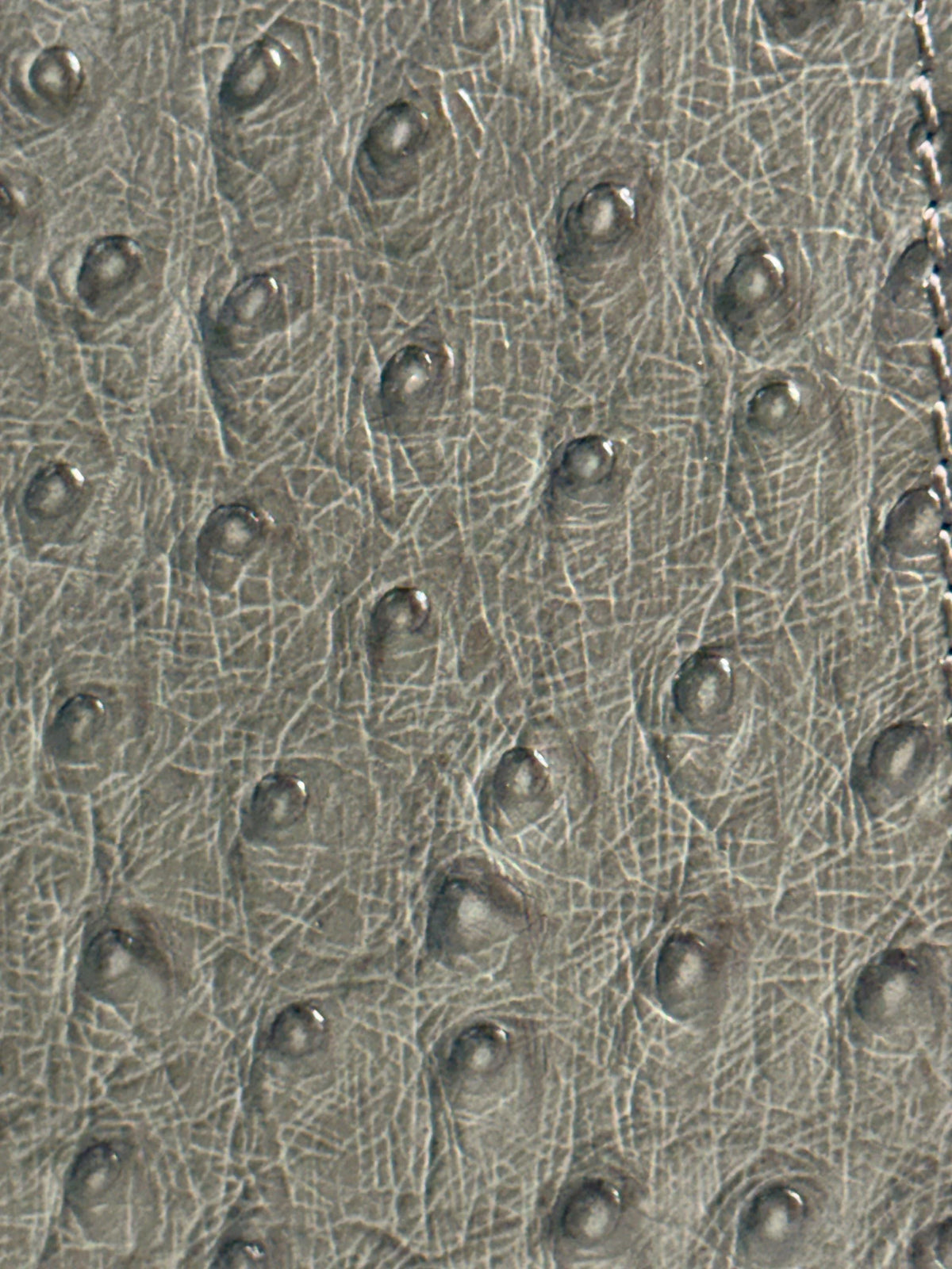 Handmade Ostrich Leather iPhone Case: Vintage Book Style 17